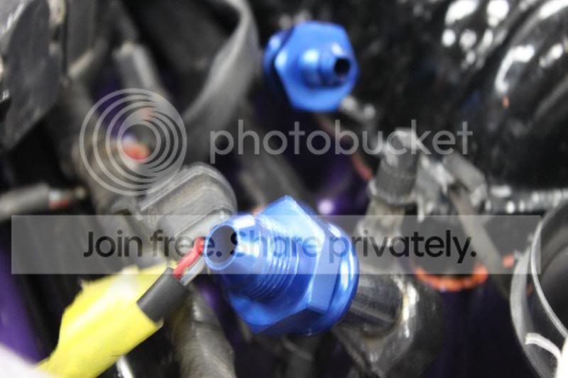 IMG_7603_zps68b237df.jpg