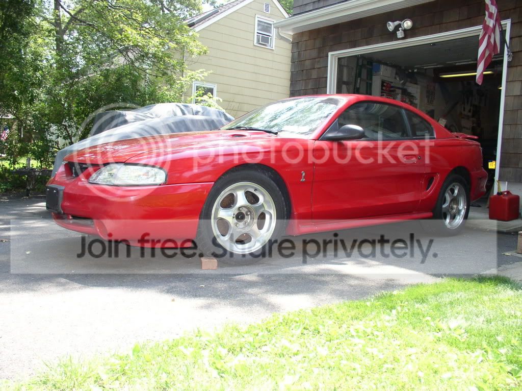 my95cobra1.jpg