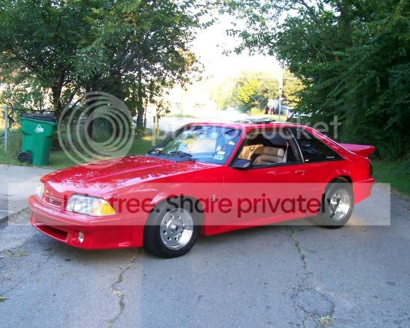 mystang002.jpg