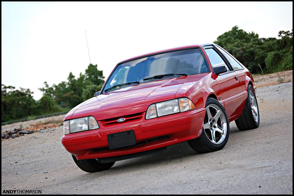 Mustangshoot56.jpg