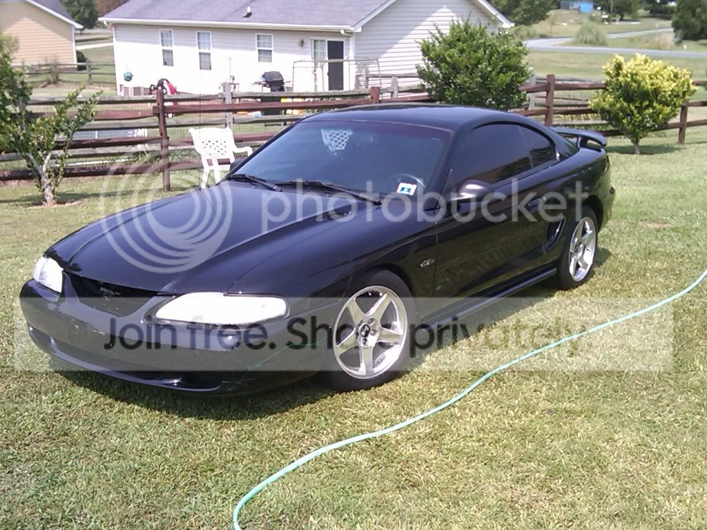 mystang.jpg