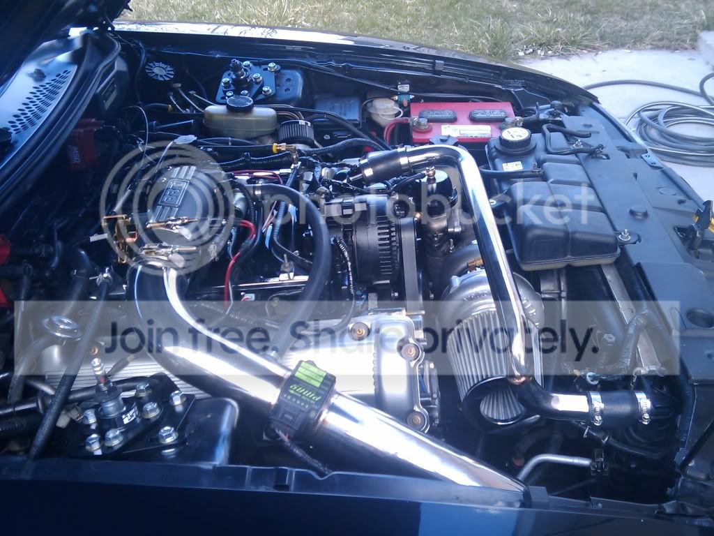 20090405142117.jpg