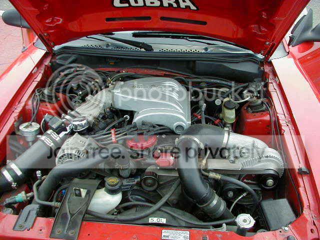 cobra7.jpg