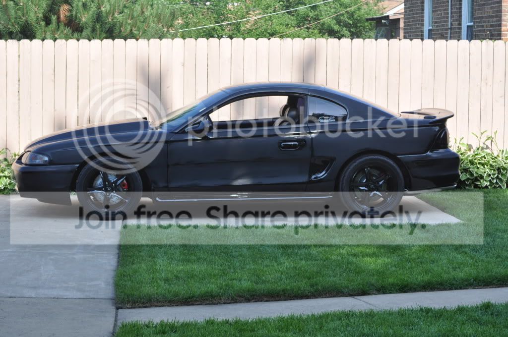 mustang023.jpg