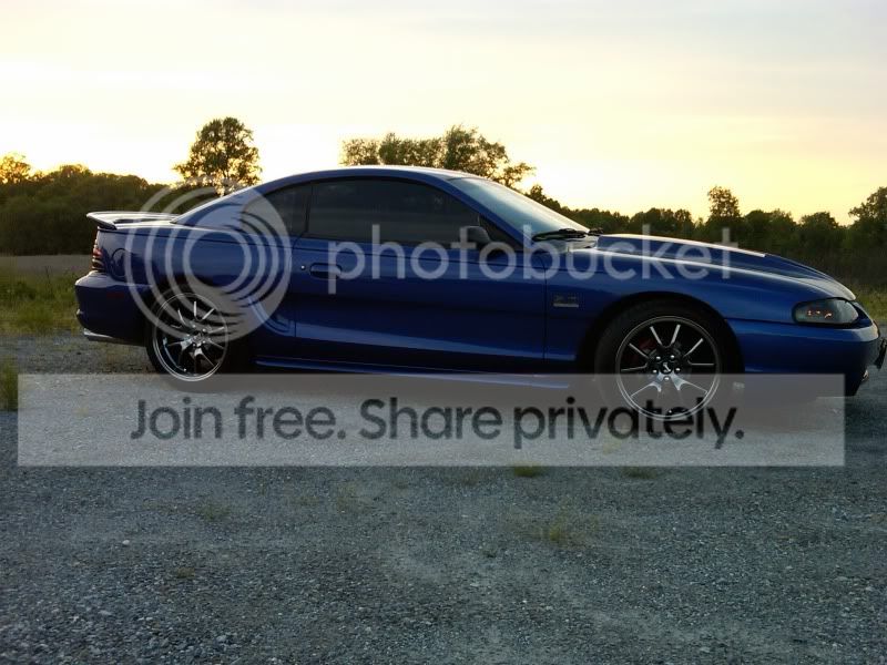 thewhip3.jpg