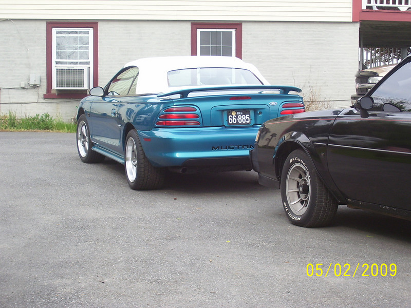 526786967_ps8f7-L.jpg