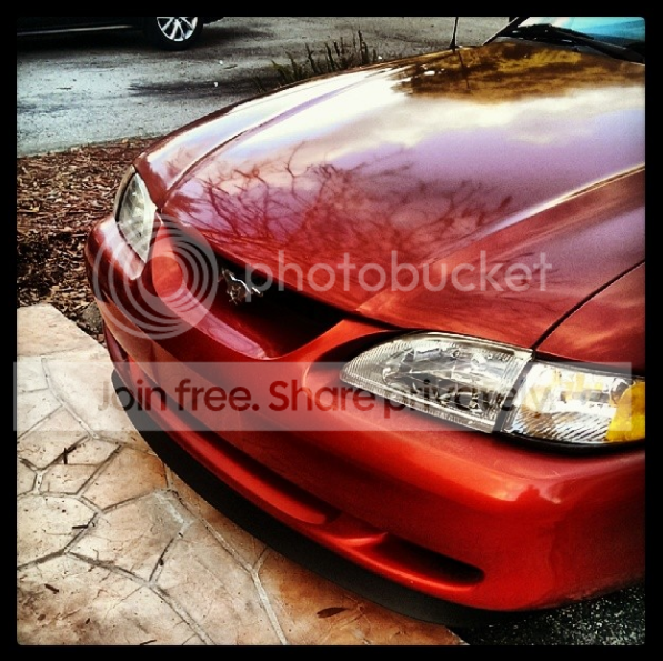 stang02_zps982123ce.png