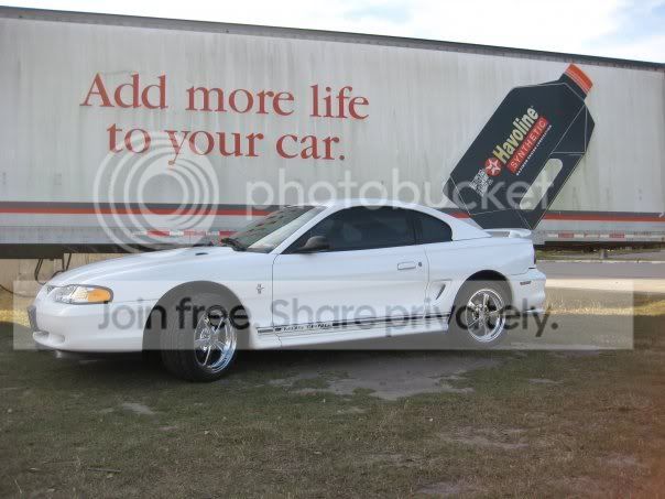 mustang_1.jpg