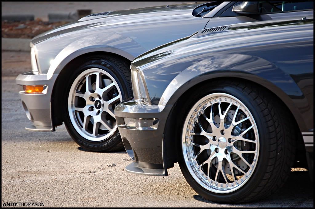Mustangshoot37.jpg