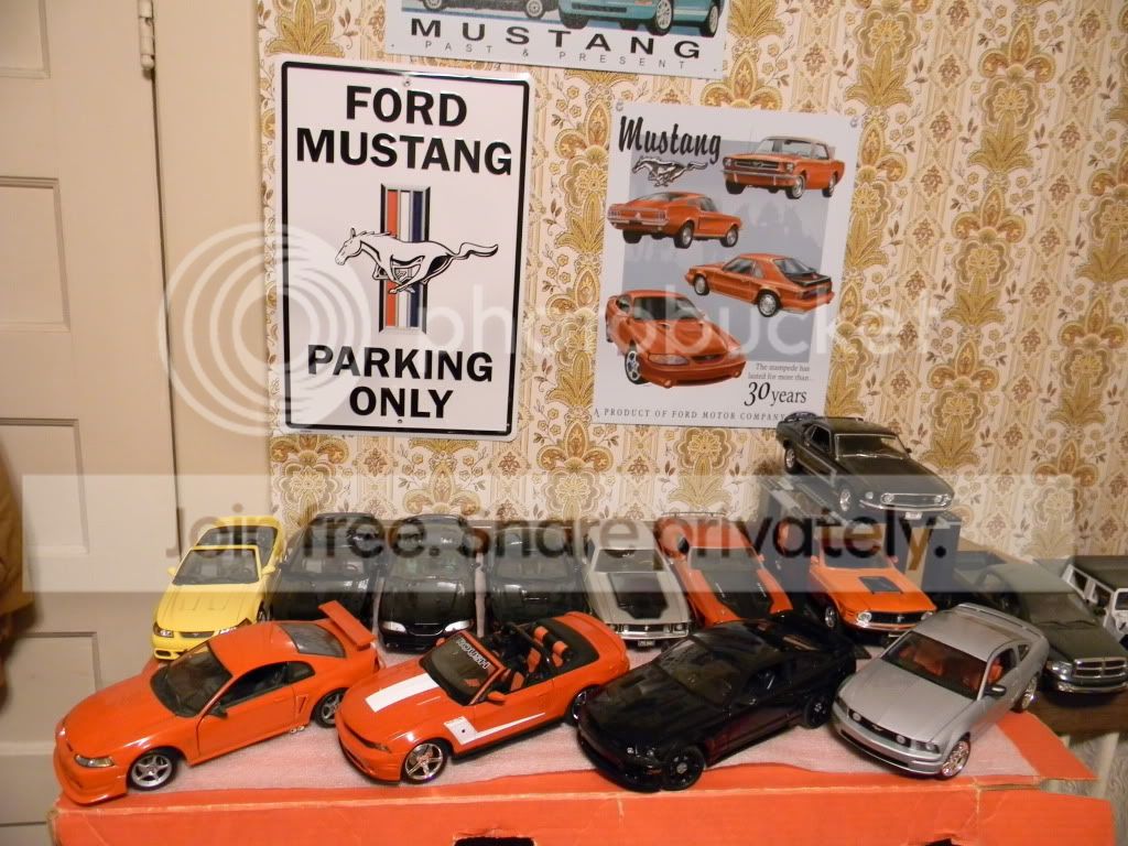 DSCN0600.jpg