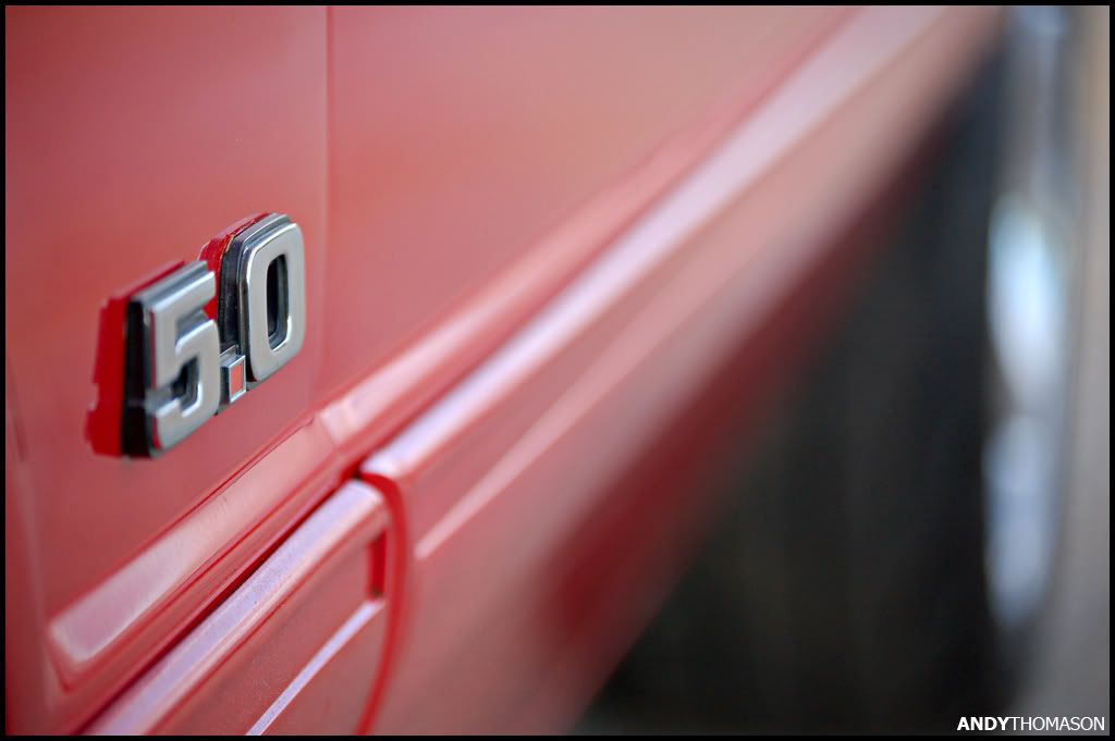 Mustangshoot54.jpg