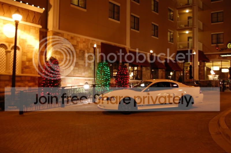 DSC_0266.jpg