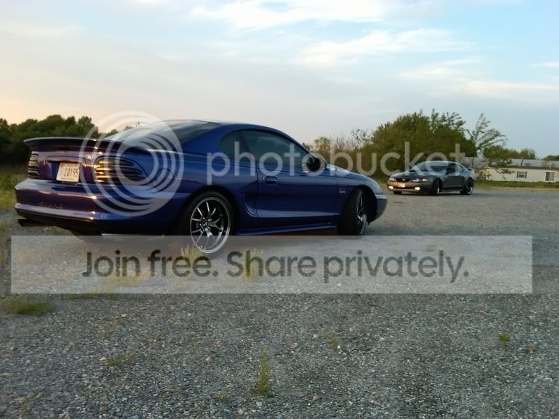 thewhip4.jpg