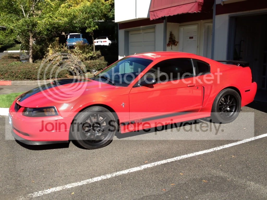 blackwheels4.jpg