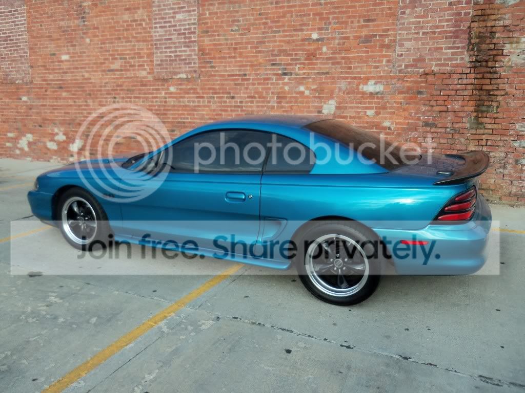 mustangisles005.jpg