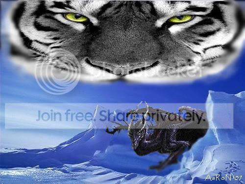 TigerDragonICE.jpg