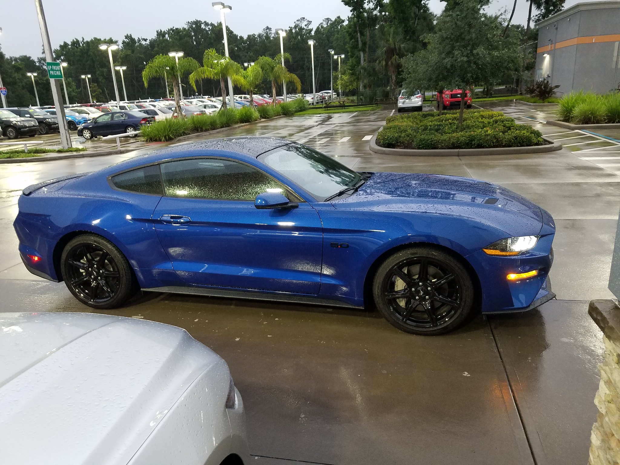 Our 2018 Mustang GT - Lightning Blue W/ Black Appearance Package |  SN95Forums The Only SN95 1994-2004 Dedicated Ford Mustang Community