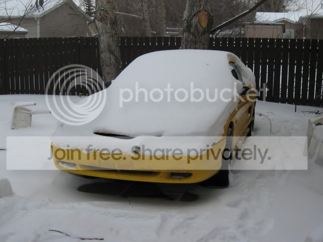 IMG_0001.jpg