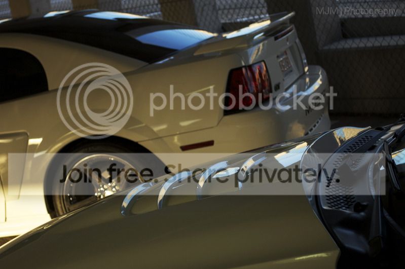 DSC_3335edit.jpg
