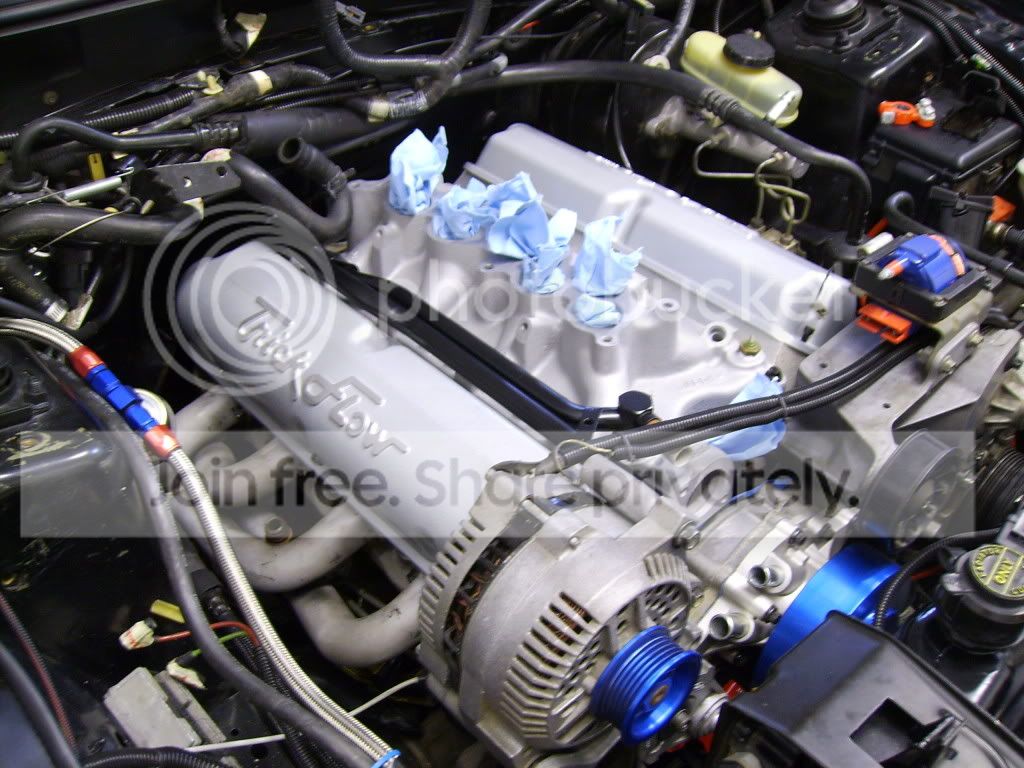 SANY0524.jpg