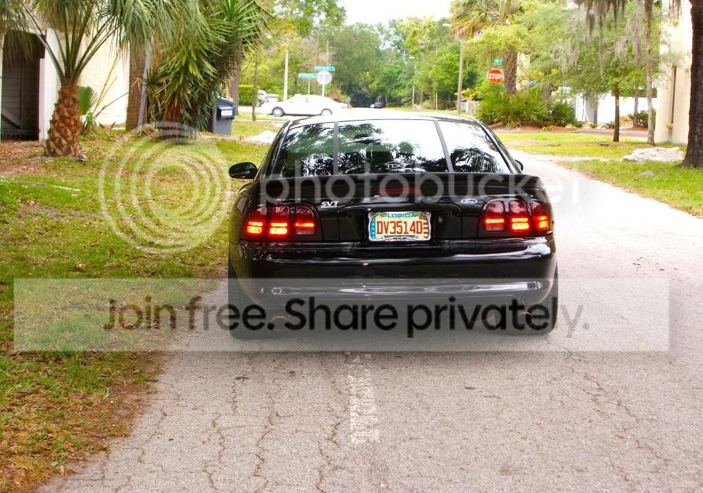 DSCF7188_zps79d1ed8f.jpg
