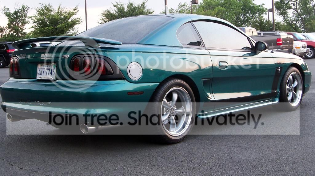 Stang054.jpg
