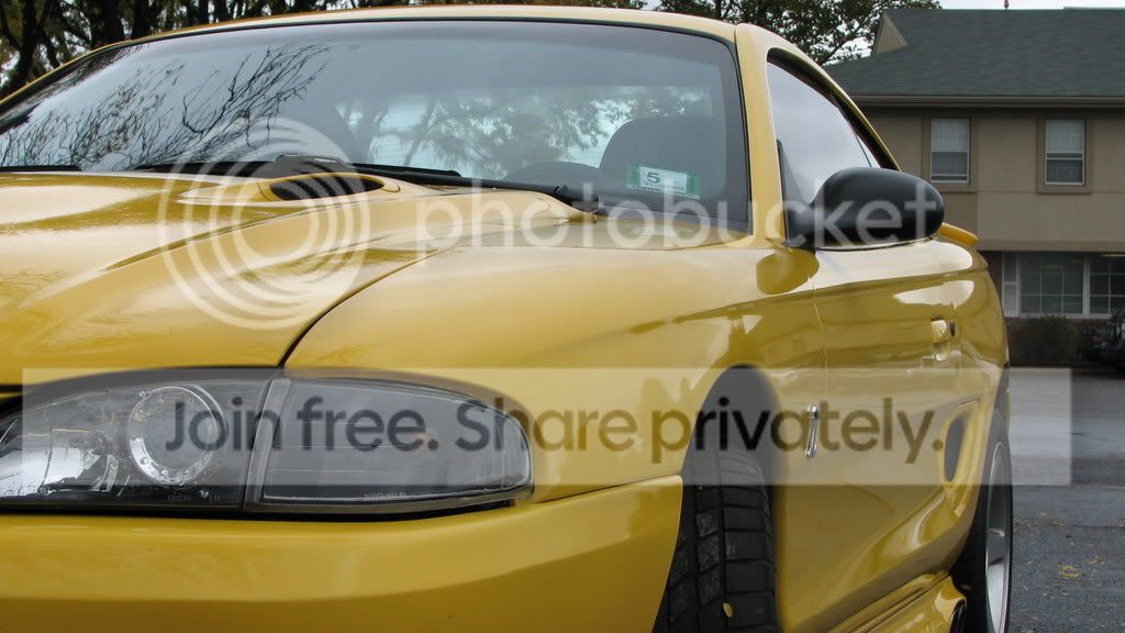 cobra317.jpg