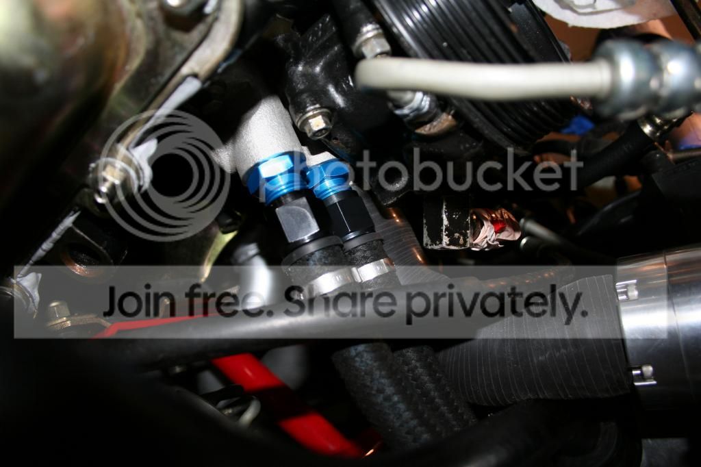 IMG_7016_zps9138706f.jpg