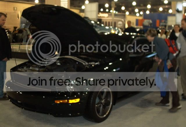 phila08autoshow061.jpg