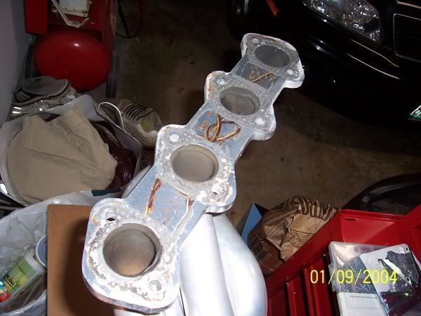header5.jpg