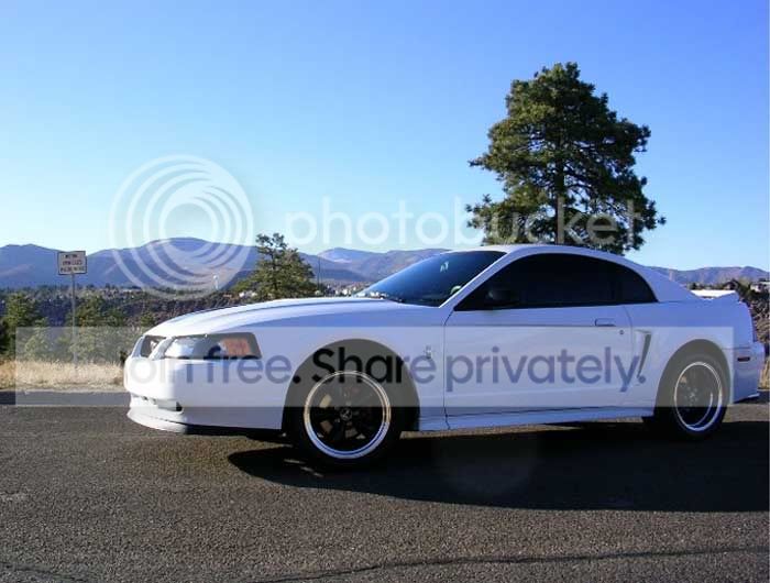 2000-white-mustang-v6-bullitt.jpg