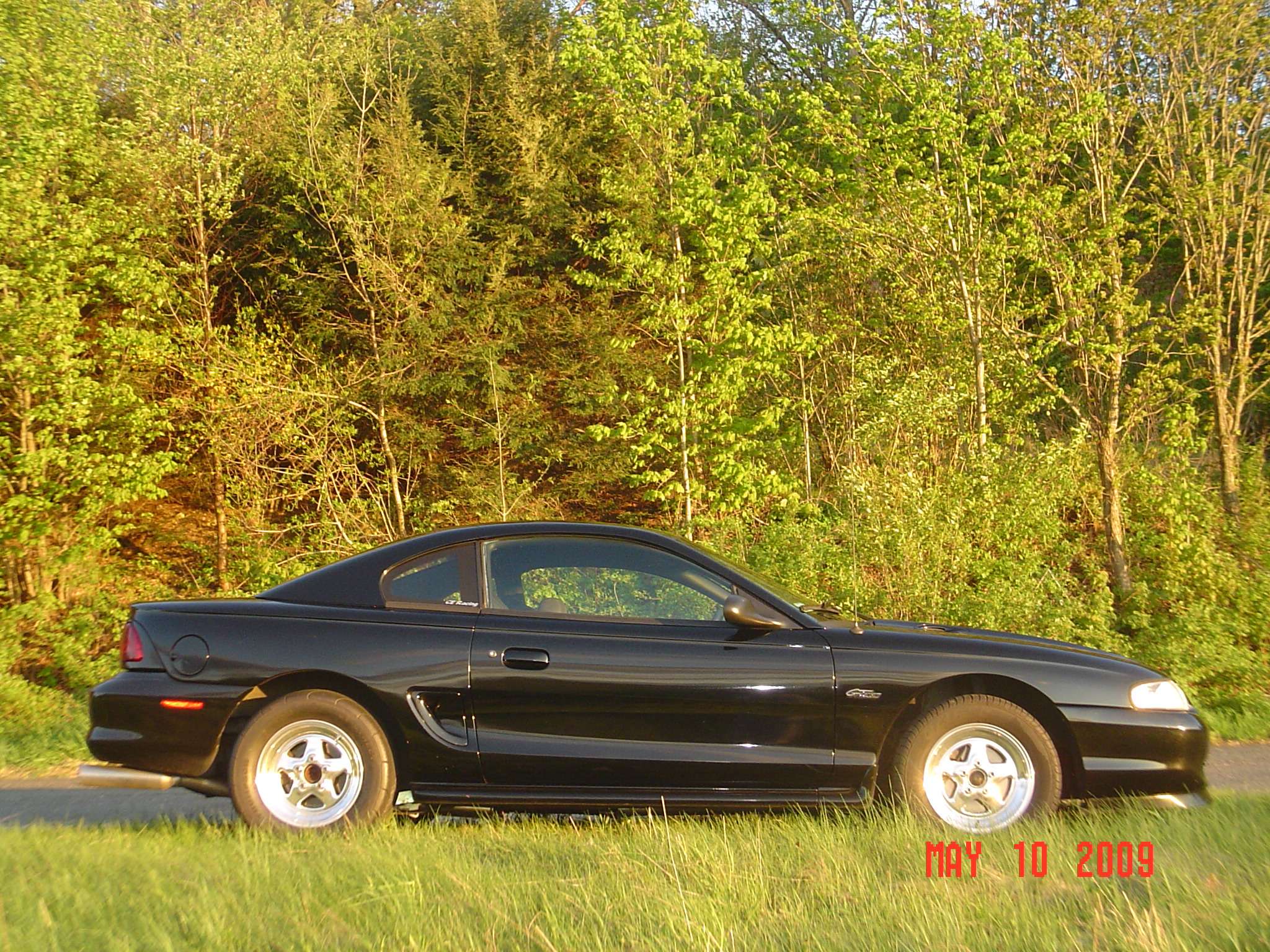 dsc01649rft.jpg