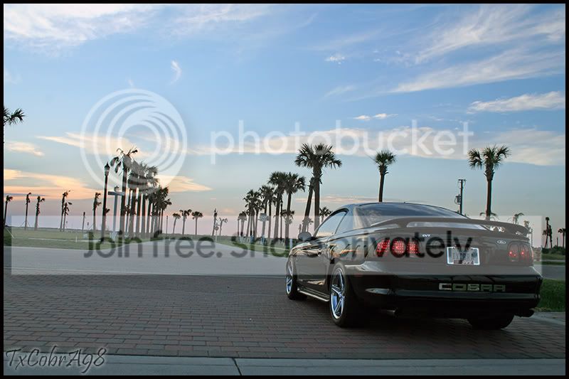 galveston03.jpg