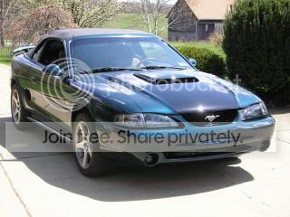 Picture009.jpg