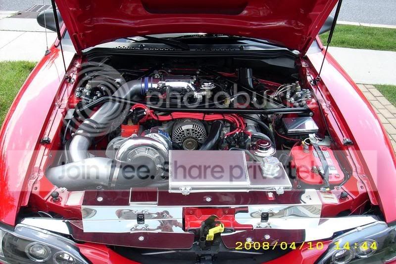 MustangPicsJuly1.jpg