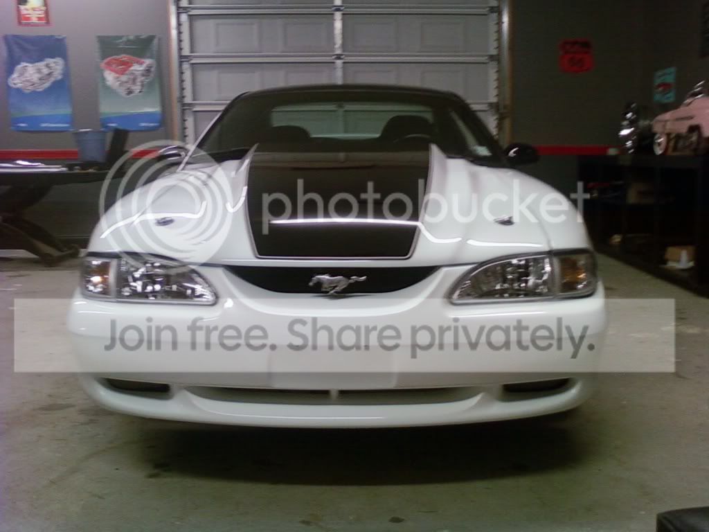 img1277527838121.jpg