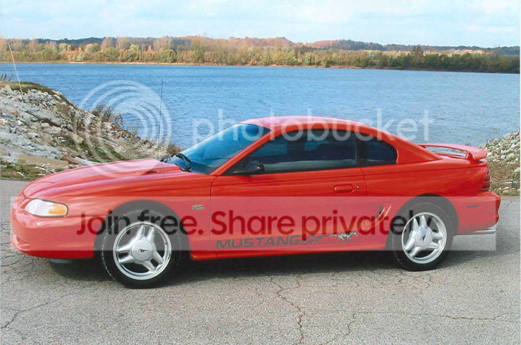 mustangfront.jpg