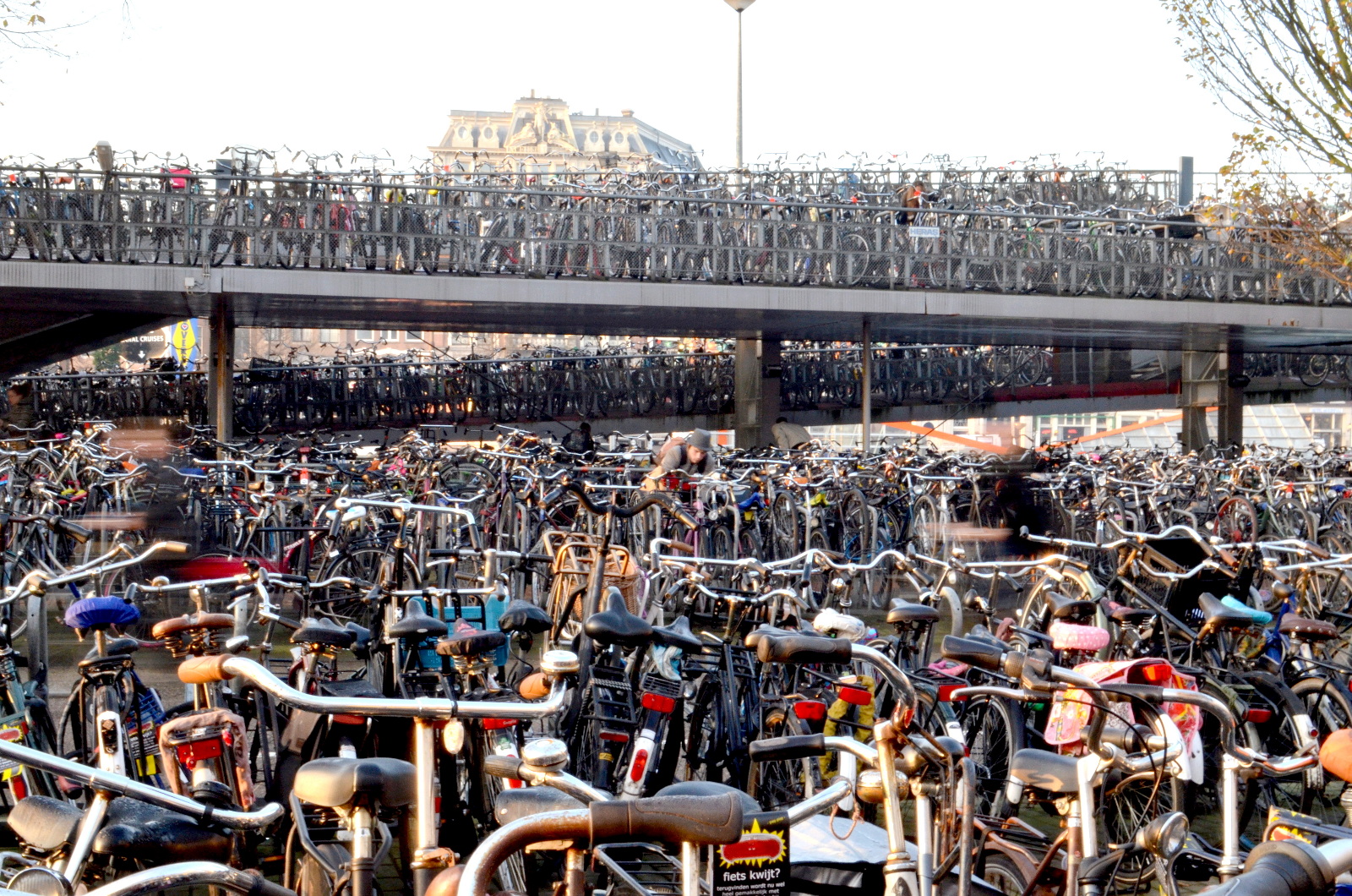 Amsterdam%20bikes.jpg