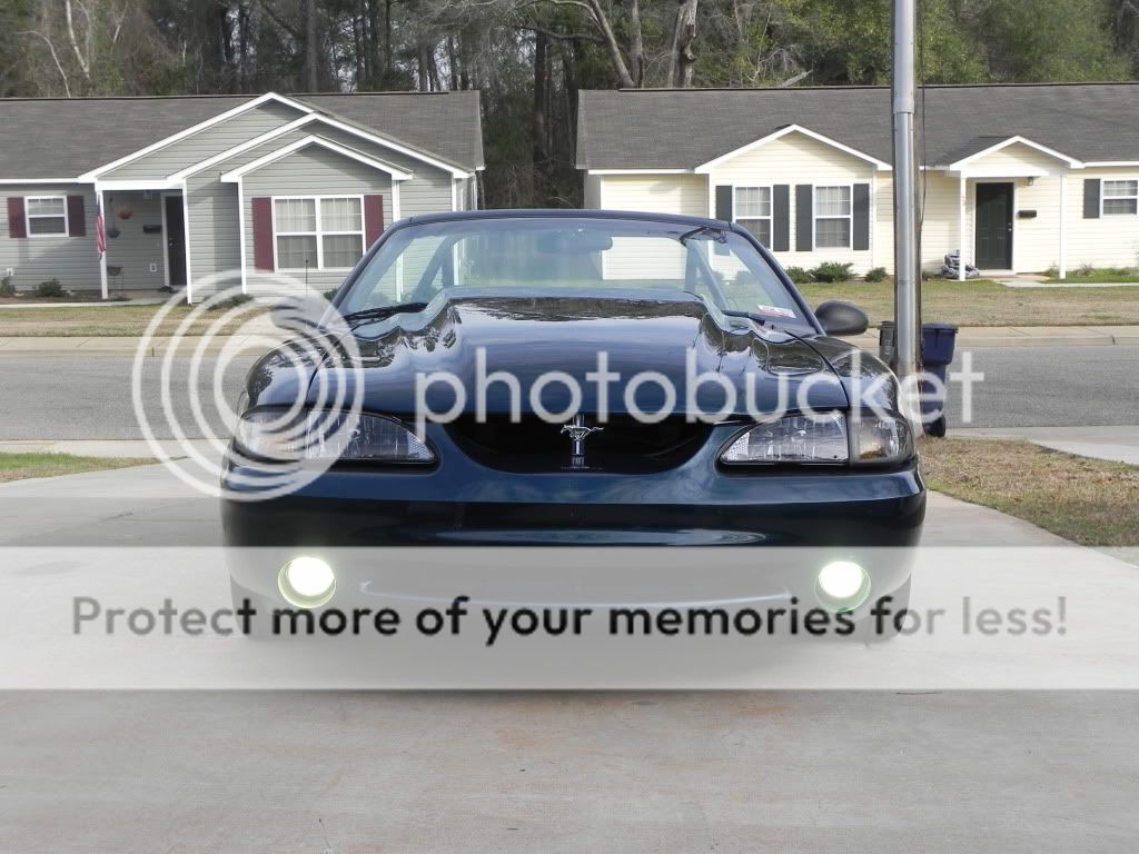 Mustang2-9-12002.jpg