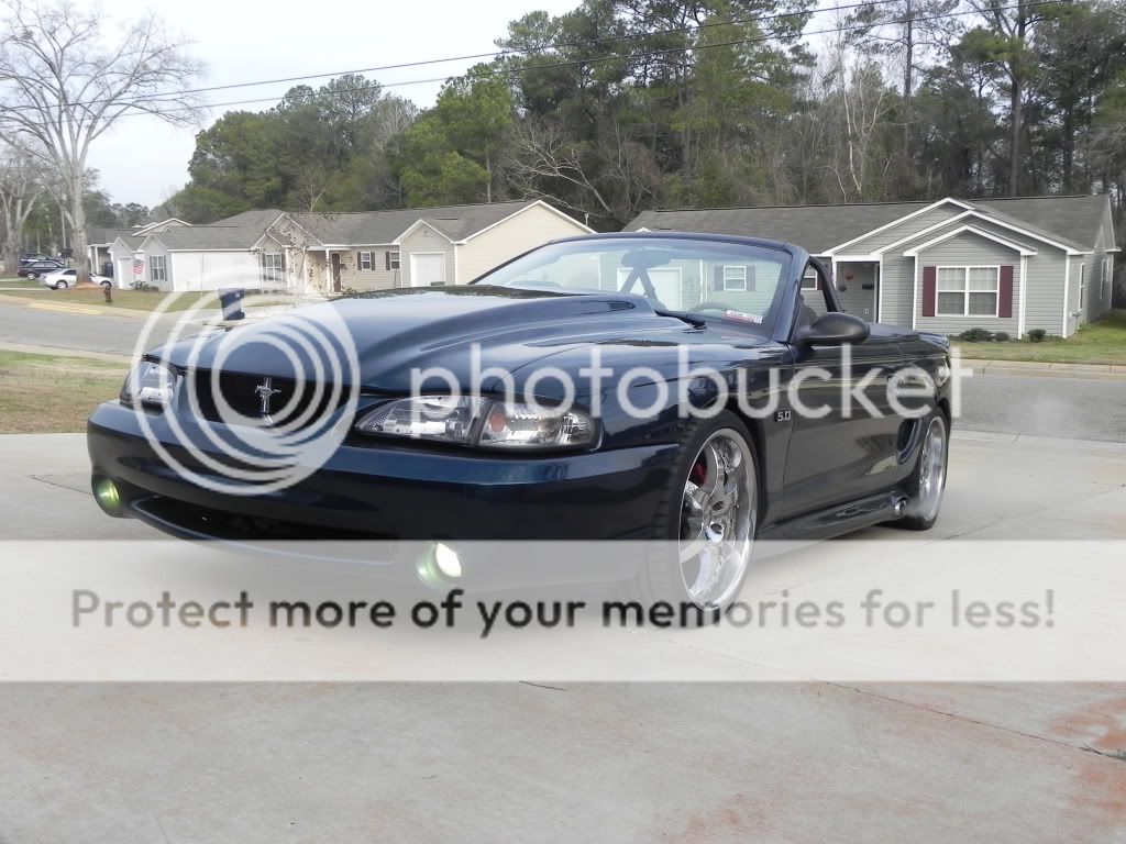 Mustang2-9-12004.jpg