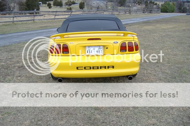 Cobra011.jpg