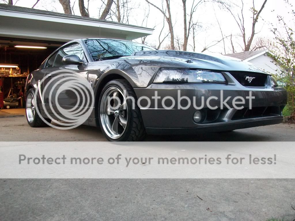Mustang2012001.jpg