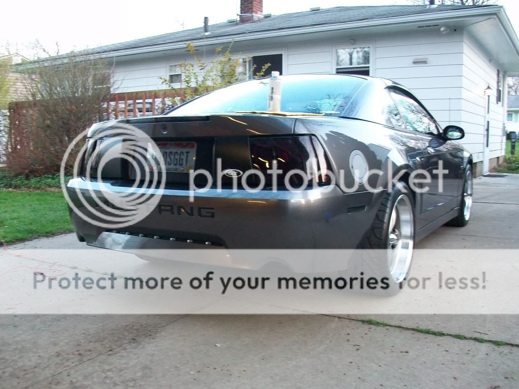 Mustang2012003.jpg