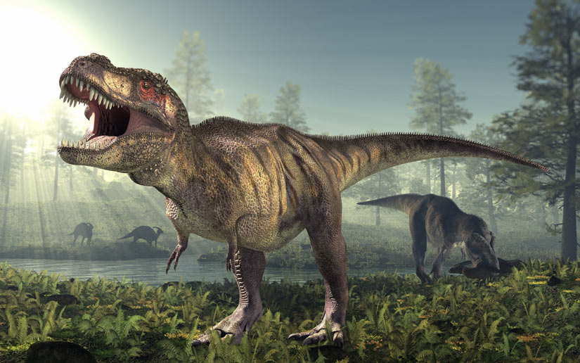 T-Rex-Facts.jpg