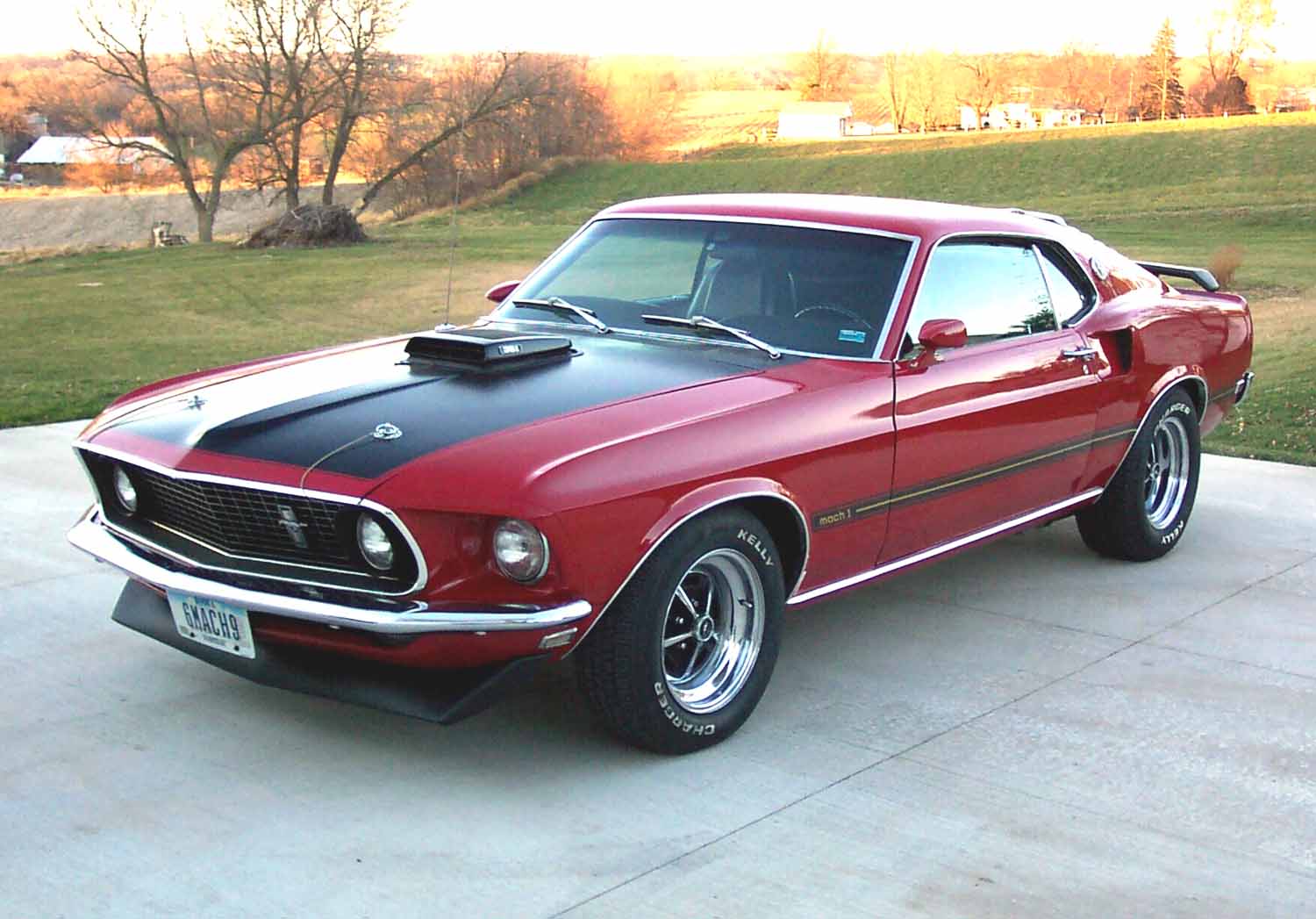 Mustang_1.jpg
